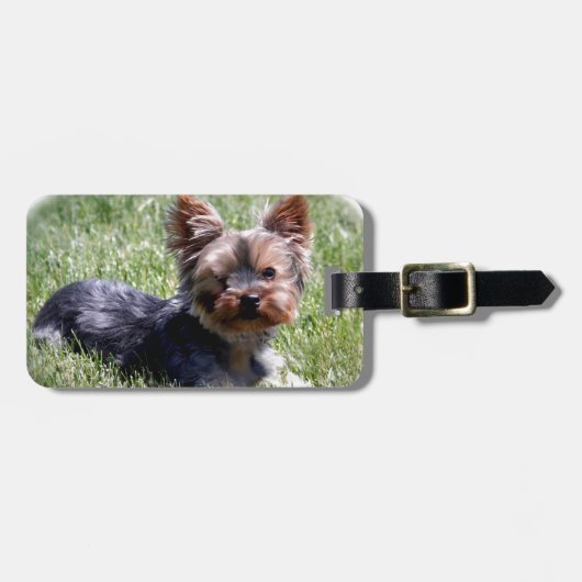 Schattige Yorkie Meerdere producten geselecteerd Bagagelabel (Voorkant horizontaal)
