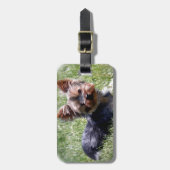 Schattige Yorkie Meerdere producten geselecteerd Bagagelabel (Voorkant verticaal)