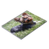 Schattige Yorkie Meerdere producten geselecteerd Notitieboek (Linkerzijde)