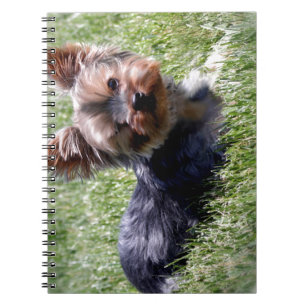 Schattige Yorkie Meerdere producten geselecteerd Notitieboek