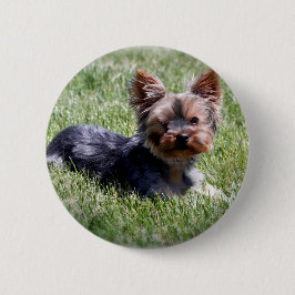 Schattige Yorkie Meerdere producten geselecteerd Ronde Button 5,7 Cm