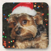 Schattige Yorkie met Santa Hat Bier Onderzetter (Voorkant)