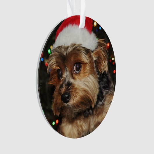 Schattige Yorkie met Santa Hat Ornament (voorkant)