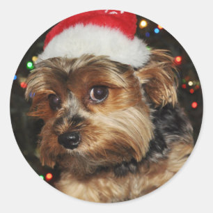 Schattige Yorkie met Santa Hat Ronde Sticker