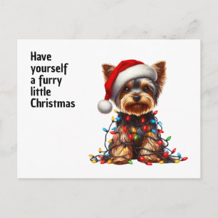 Schattige Yorkie Met Sinterklaas Hoed En Kerstlich Feestdagenkaart