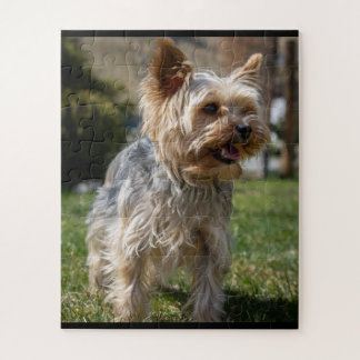 Schattige Yorkie Mia Puzzle Legpuzzel
