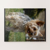 Schattige Yorkie Mia Puzzle Legpuzzel (Horizontaal)