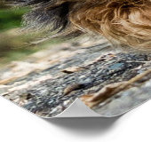 Schattige Yorkie Poster (Hoek)