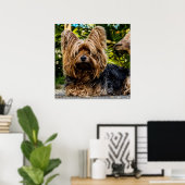 Schattige Yorkie Poster (Thuiskantoor)