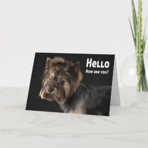 Schattige Yorkie Puppy Hond Liefde Yorkshire Terri Kaart