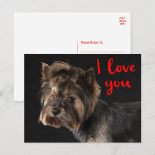 Schattige Yorkie Puppy Hond Yorkshire Terrier Lief Briefkaart