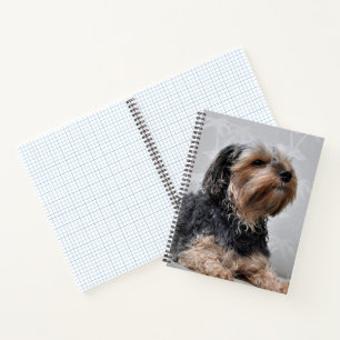 Schattige Yorkie Yorkshire Terrier Zonnebaden Notitieboek