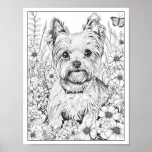 Schattige Yorkshire Terrier Dog Kleurend Poster