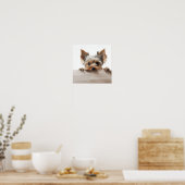 schattige Yorkshire terrier fotografie print (Keuken)