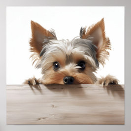 schattige Yorkshire terrier fotografie print