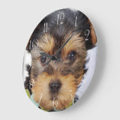 Schattige Yorkshire Terrier Grote Klok (Hoek)