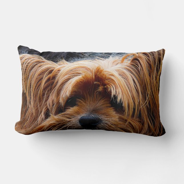 Schattige Yorkshire Terrier hond Kussen (Voorkant)
