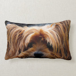 Schattige Yorkshire Terrier hond Kussen