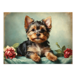  Schattige Yorkshire Terrier Puppy Hondenportret Foto Afdruk
