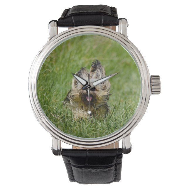 Schattige Yorkshire Terrier Rent Door Gras Horloge (Voorkant)