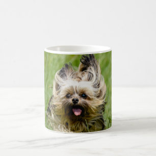 Schattige Yorkshire Terrier Rent Door Gras Koffiemok