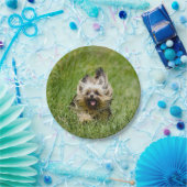 Schattige Yorkshire Terrier Rent Door Gras Papieren Bordje (Feest)