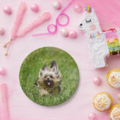 Schattige Yorkshire Terrier Rent Door Gras Papieren Bordje (Feest)