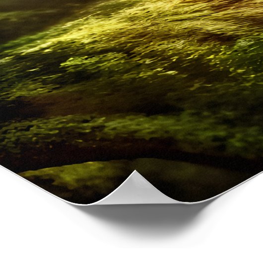 Schattige Zebra in het bos | AI Art Poster (Hoek)