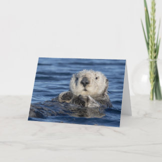 Schattige Zee otter-kaart Kaart