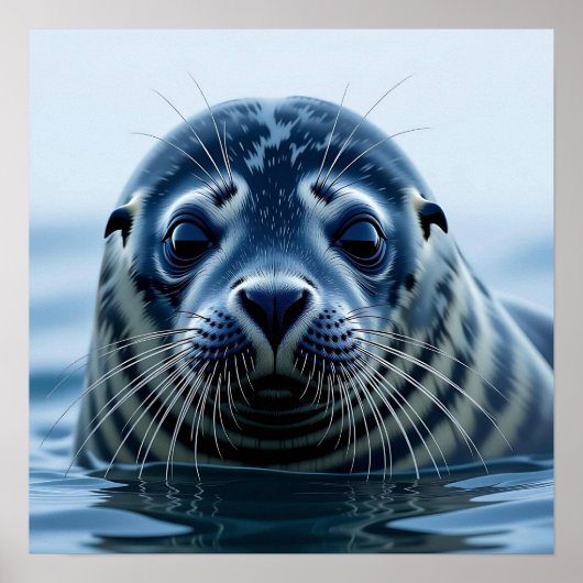 Schattige zeehond Close-up Poster (Voorkant)