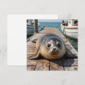 Schattige zeehond op bootsteiger oceaan steiger (Voorkant / Achterkant)