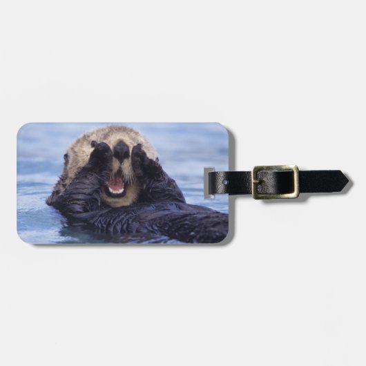 Schattige Zeeotter | Alaska, VS Bagagelabel (Voorkant horizontaal)