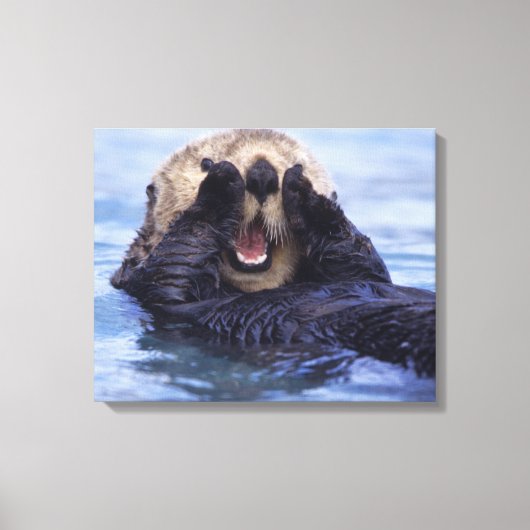 Schattige zeeotter | Alaska, VS Canvas Afdruk (Voorkant)