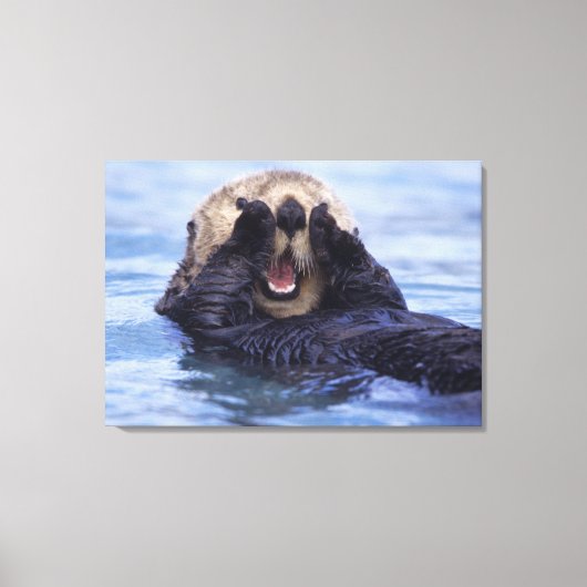 Schattige zeeotter | Alaska, VS Canvas Afdruk (Voorkant)