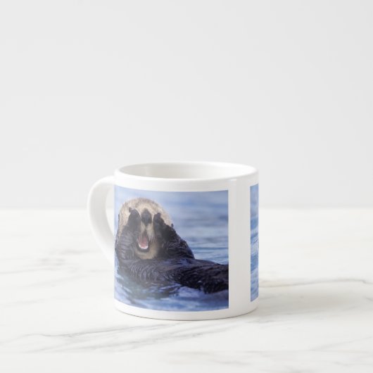 Schattige Zeeotter | Alaska, VS Espresso Kop (Links)