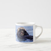 Schattige Zeeotter | Alaska, VS Espresso Kop (Rechts)