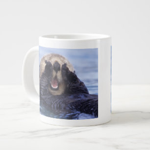 Schattige Zeeotter Alaska, VS Grote Koffiekop