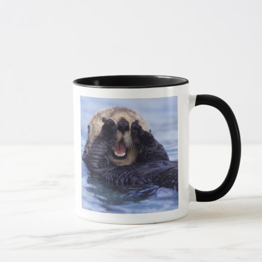 Schattige Zeeotter | Alaska, VS Mok (Rechts)