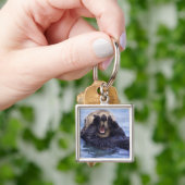 Schattige zeeotter | Alaska, VS Sleutelhanger (Hand)