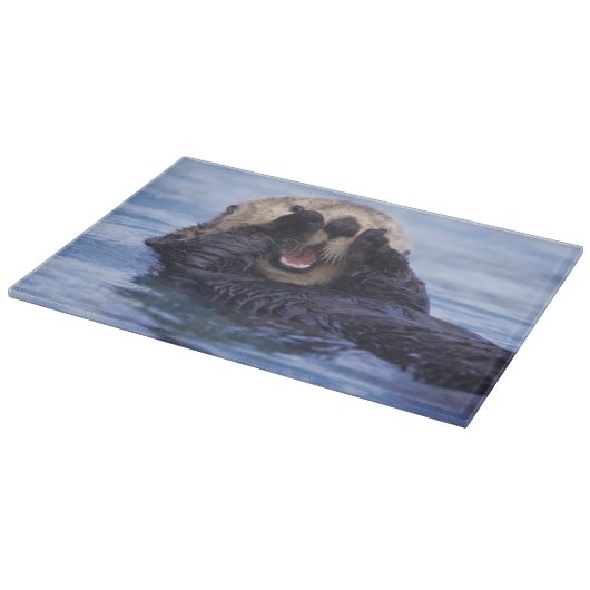 Schattige Zeeotter | Alaska, VS Snijplank (Hoek)