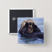 Schattige zeeotter | Alaska, VS Vierkante Button 5,1 Cm (Voorkant /achterkant)
