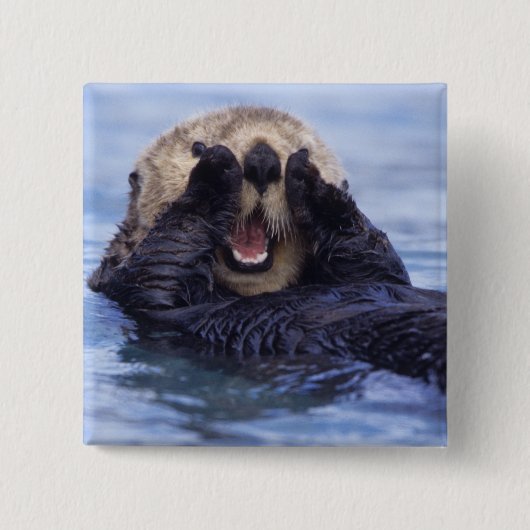 Schattige zeeotter | Alaska, VS Vierkante Button 5,1 Cm (Voorkant)