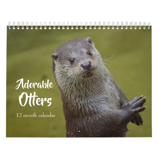 Schattige Zeeotters 2027 Kalender (Hoes)