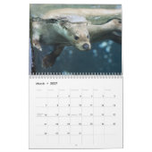 Schattige Zeeotters 2027 Kalender (Mar 2027)