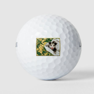 Schattige Zoete Baby Opossum Golfballen