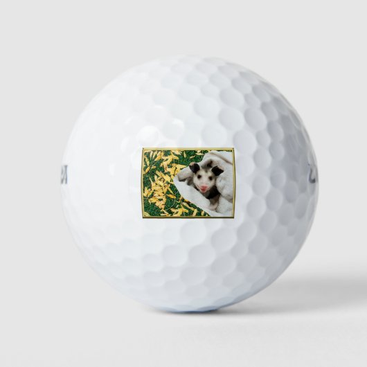 Schattige Zoete Baby Opossum Golfballen (Voorkant)