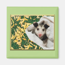 Schattige Zoete Baby Opossum Magneet