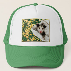 Schattige Zoete Baby Opossum Trucker Pet