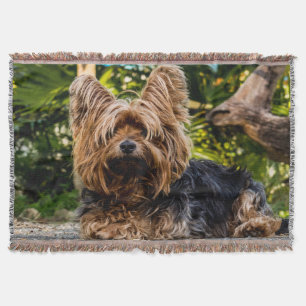 Schattige zoete Yorkshire terrier in het bos Deken