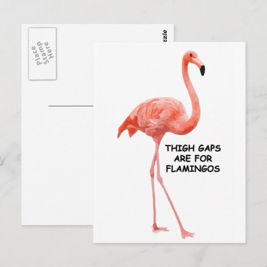 Schattige Zomer Inspirerend Roze Flamingo Briefkaart (Voorkant / Achterkant)